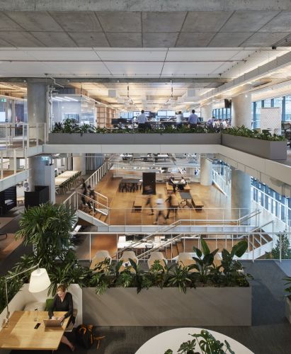 Hassell Arup Workplaces